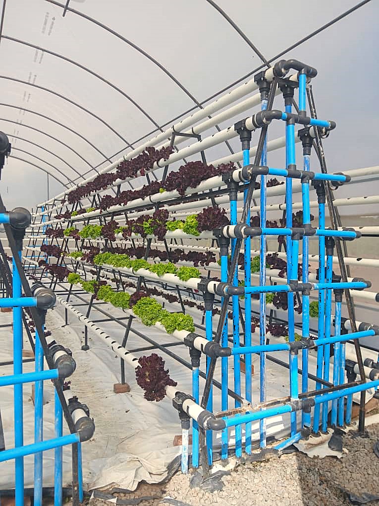 Embassy of Switzerland in Zimbabwe tweet media