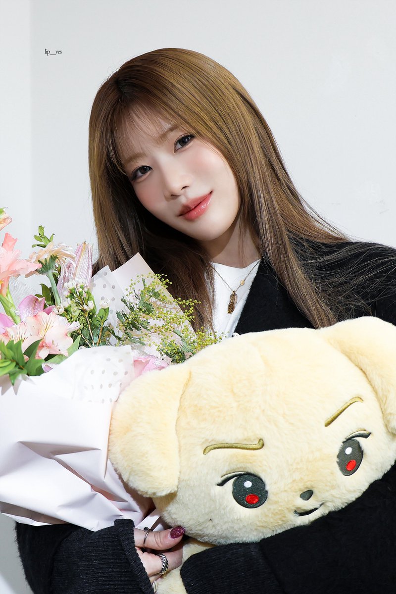강아지들은 금방 큰다더니 으니들 다 컸네 🥹😭
둘 다 꼬질견에서 미견됨 후......

2022                                      2026