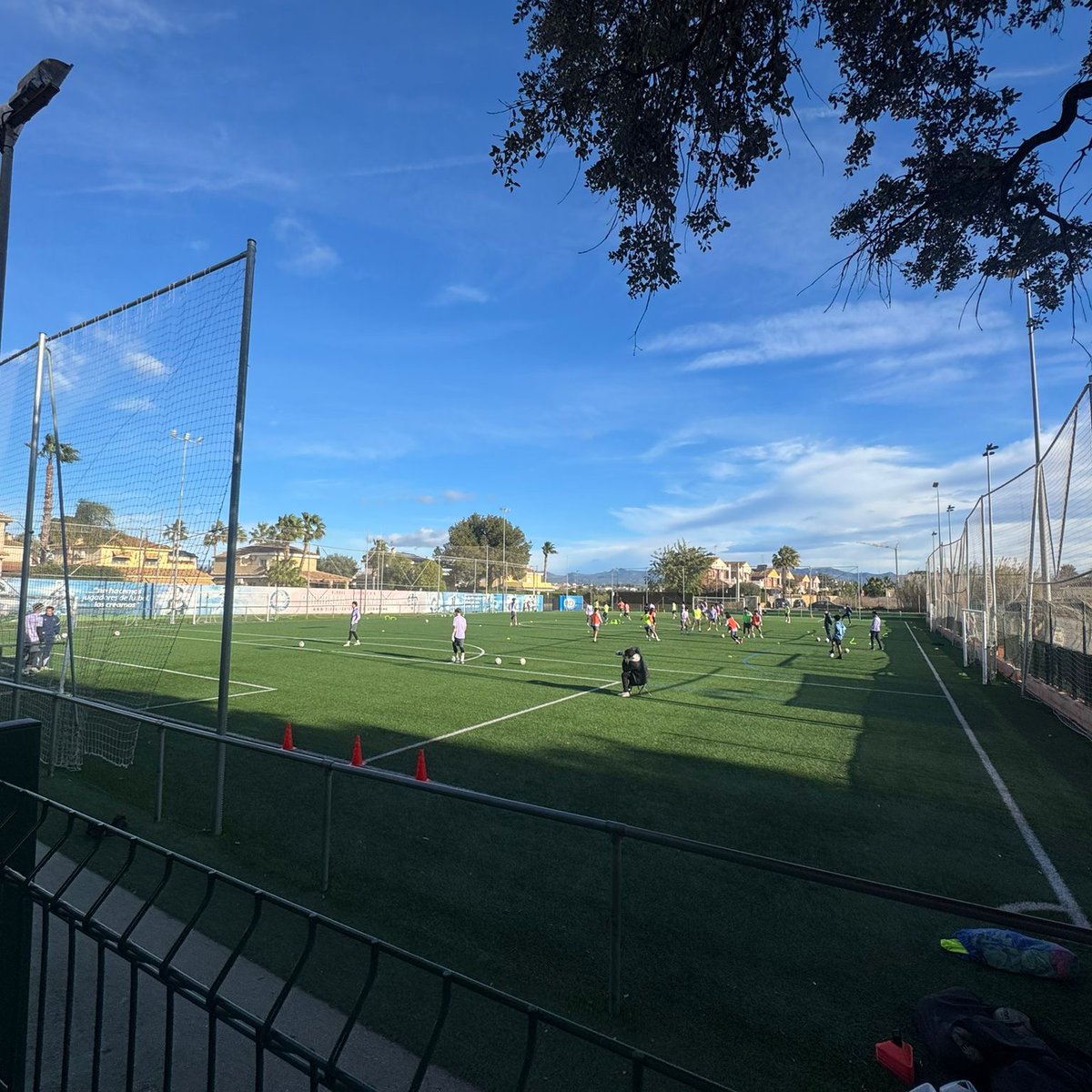 JDFS Alberts | Meistarkomanda tweet media