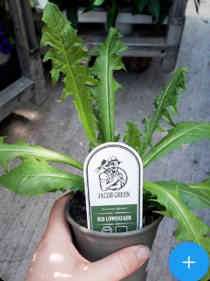 FrqnkSt's tweet image. Städter geben Geld für Sachen aus, die wir Landeier nie verstehen werden 😬