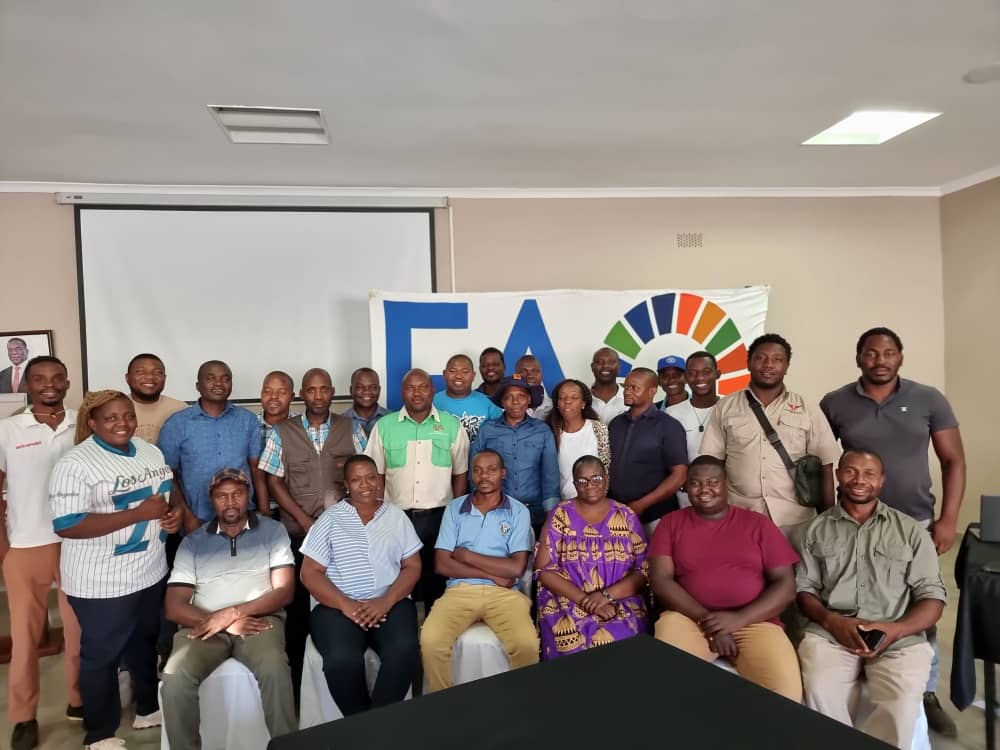 FAOZimbabwe's tweet photo. 🛰️🐄 FAO is strengthening #LivestockDisease surveillance and #HumanWildlifeConflict monitoring in 🇿🇼 Zimbabwe through digital tools, mobile GIS and real-time data under the 🇪🇺 EU & 🇮🇪-funded #ZRBF2 project.
Find out how? 👉🔗https://t.co/deUzbOShOo https://t.co/OJP1nGZnwZ