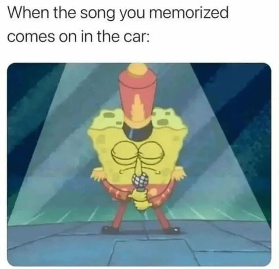 WholesomeMeme's tweet image. 