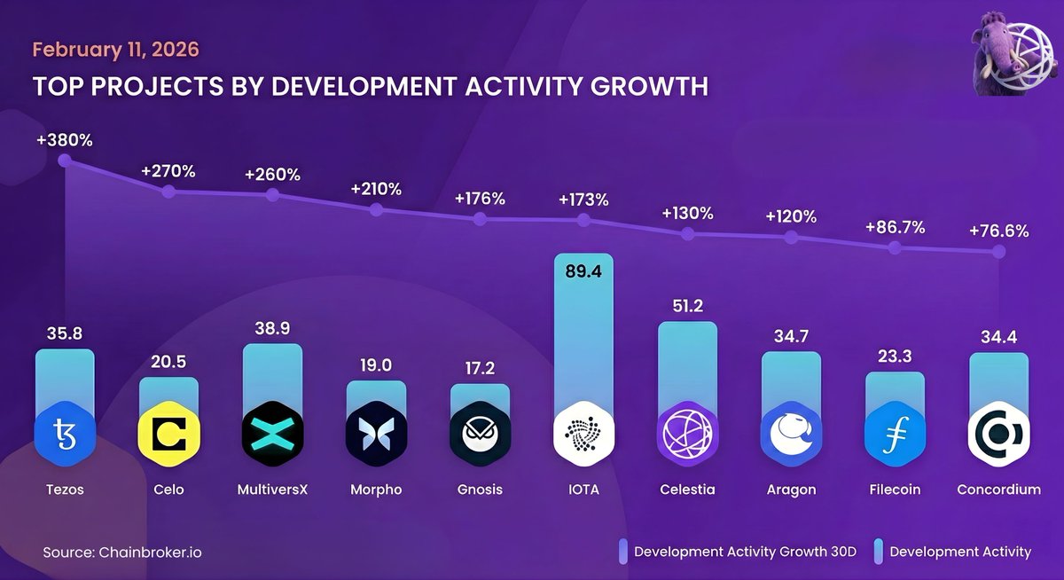 Celestia Insider tweet media