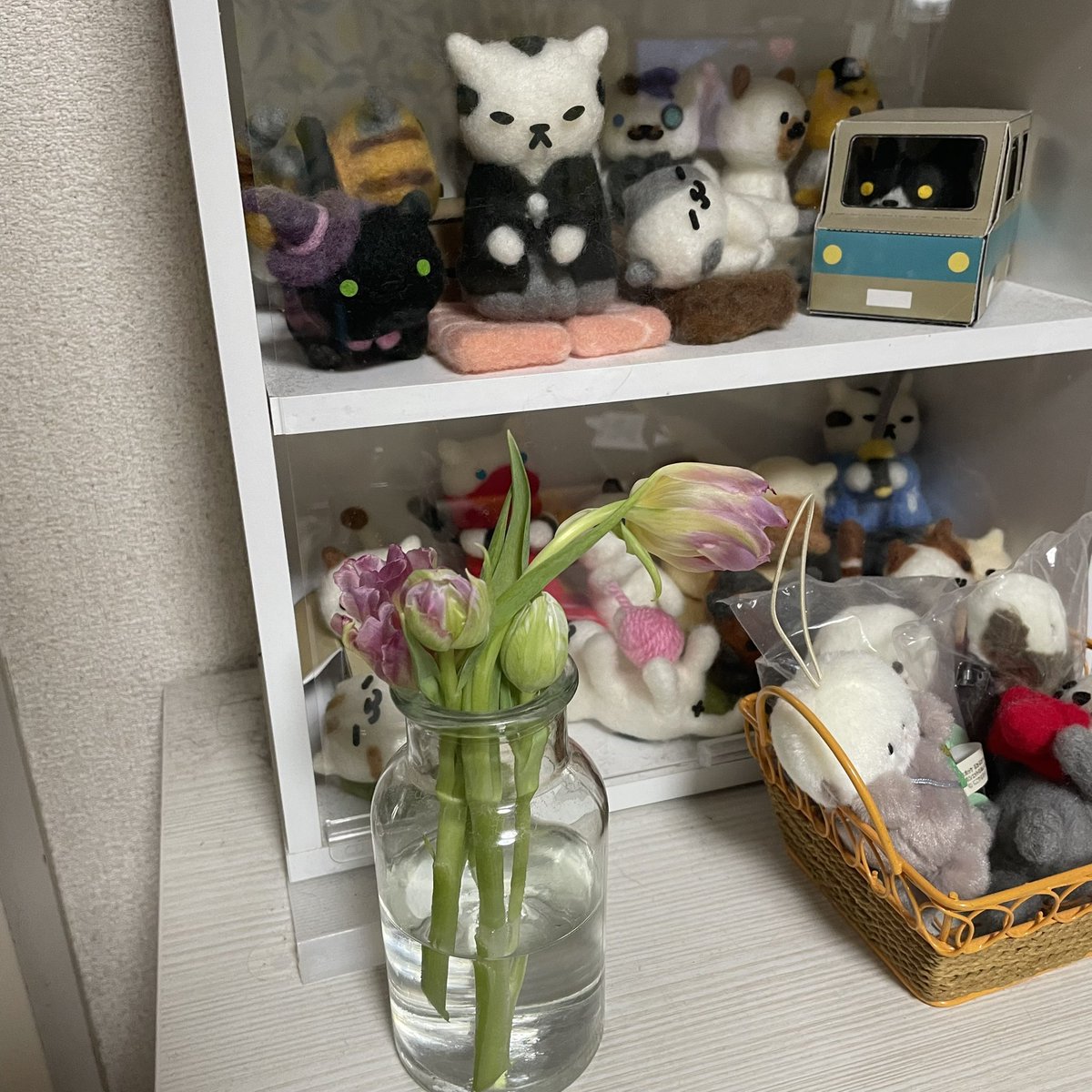 花は良いな。満開を通り越えゆっくりと萎れていく姿をまじまじと見るのは初めてかもしれないが、萎れた花にも風情を感じる。