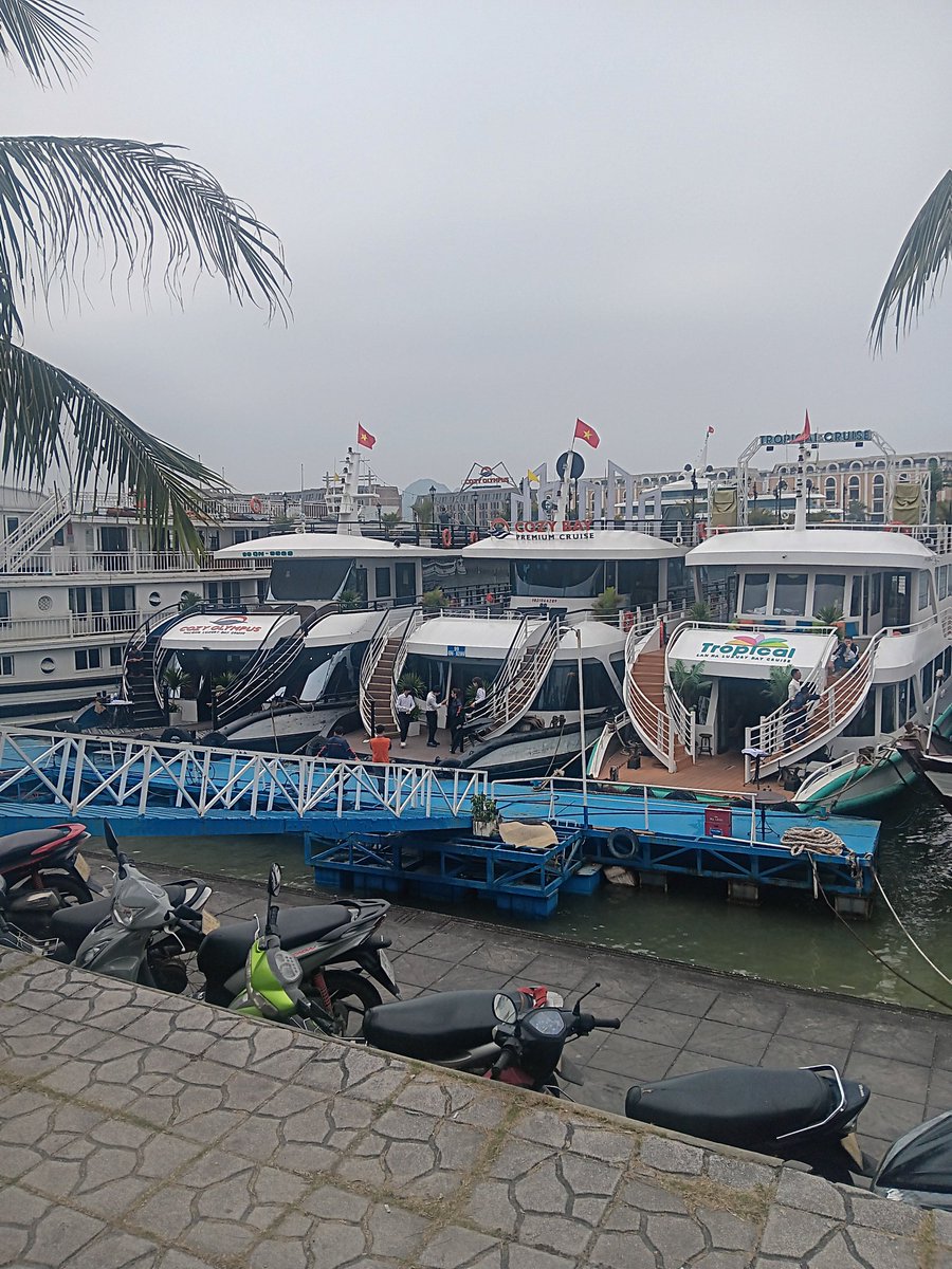 ItzRandomly tweet media