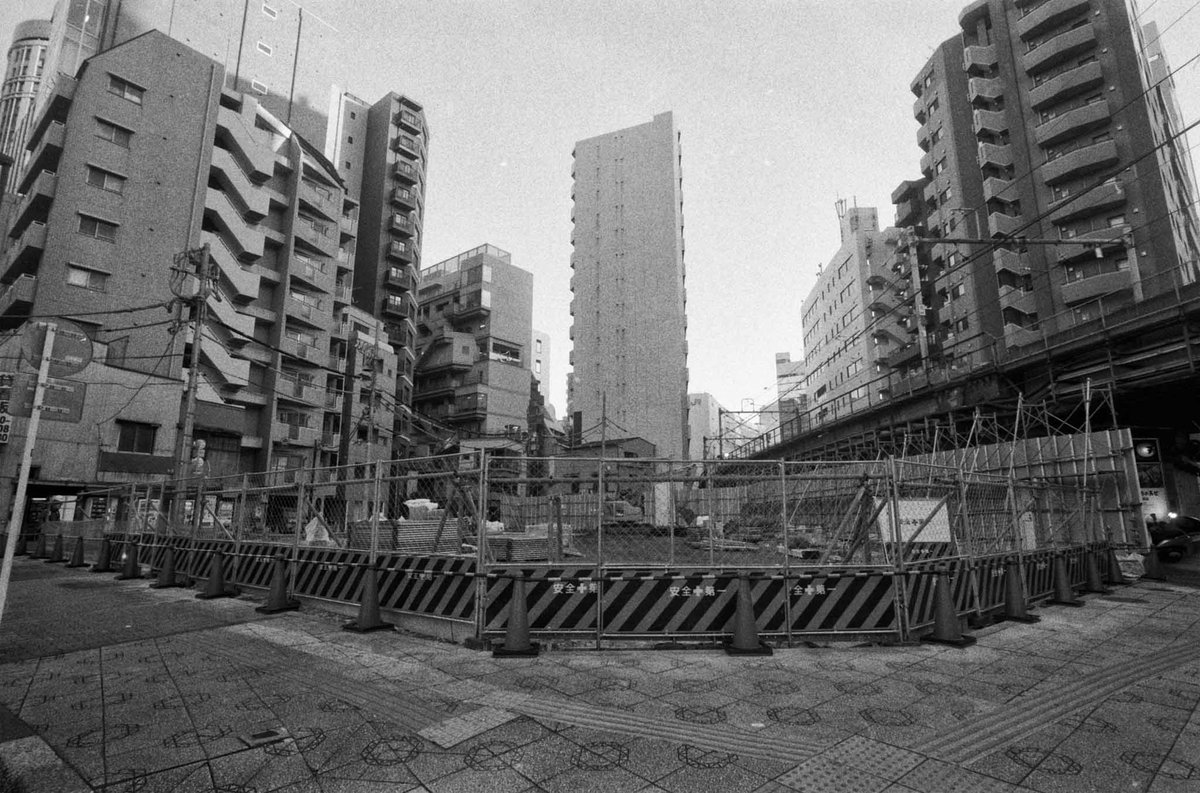 あぁ、こんなお姿に(´・ω・｀)