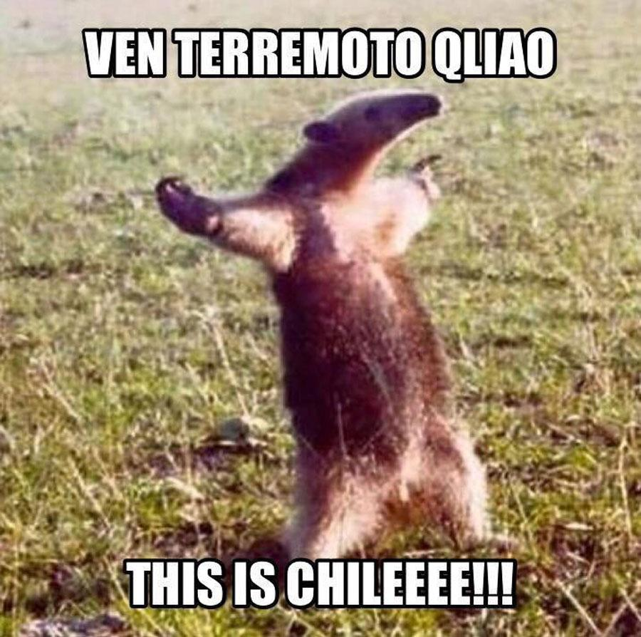0Dweller's tweet photo. Sálvese quien pueda!!!  /o/

#temblor https://t.co/KfZygGutY6