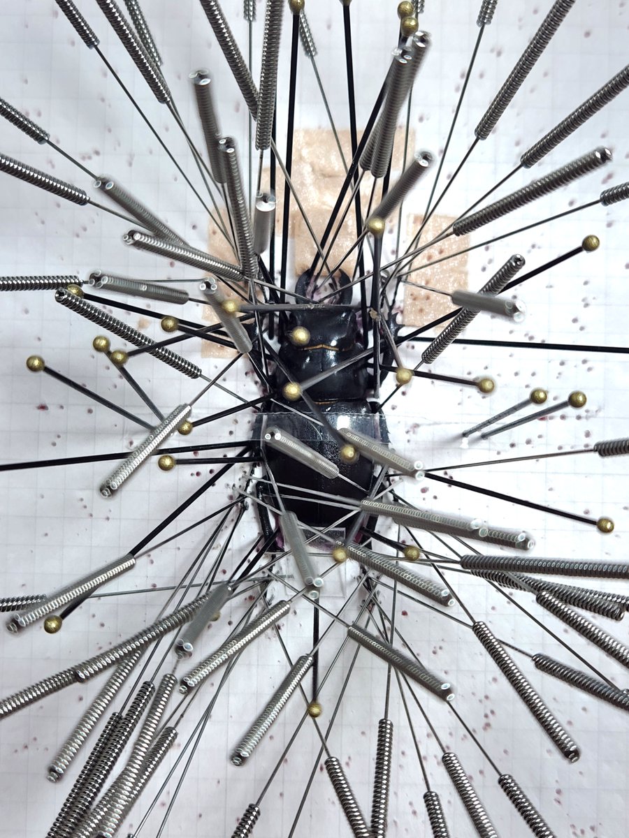 Ha(Azazel) tweet media