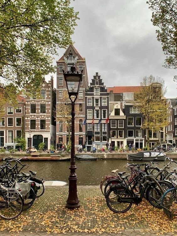 pradavante's tweet image. let’s go to amsterdam