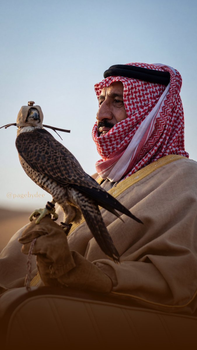 luxuic's tweet photo. — طير حوران شاقتني مضاريبه https://t.co/SfZgoa6JAy