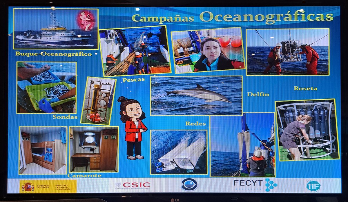 IEO Gijón/Xixón tweet media