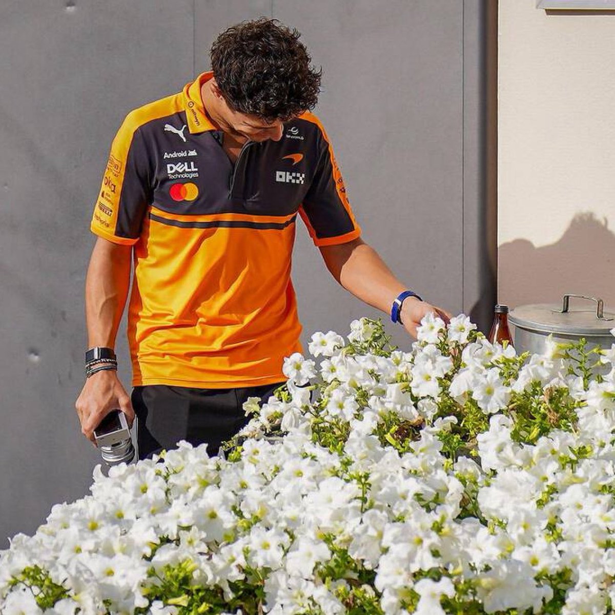 folklando_'s tweet photo. se ponía a ver las flores 😭 este es el tipo que todos odian https://t.co/cUl3OSO7Jy