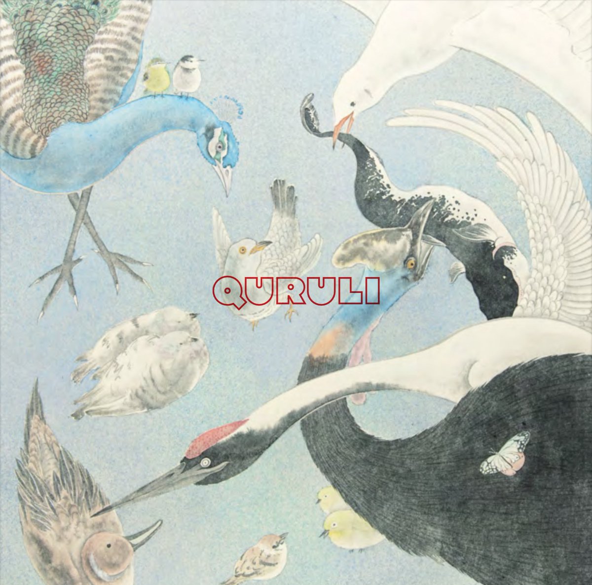 岸田繁 Shigeru Kishida (@Kishida_Qrl) / Posts / X