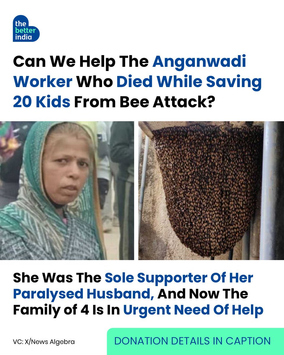 In an Anganwadi centre in Ranpur village, Neemuch, a swarm of bees suddenly attacked children playing outside. Panic spread. Little ones screamed and tried to run.

Kanchan Bai Meghwal did not.

The Anganwadi cook grabbed tarpaulins and mats, wrapped the children one by one, and