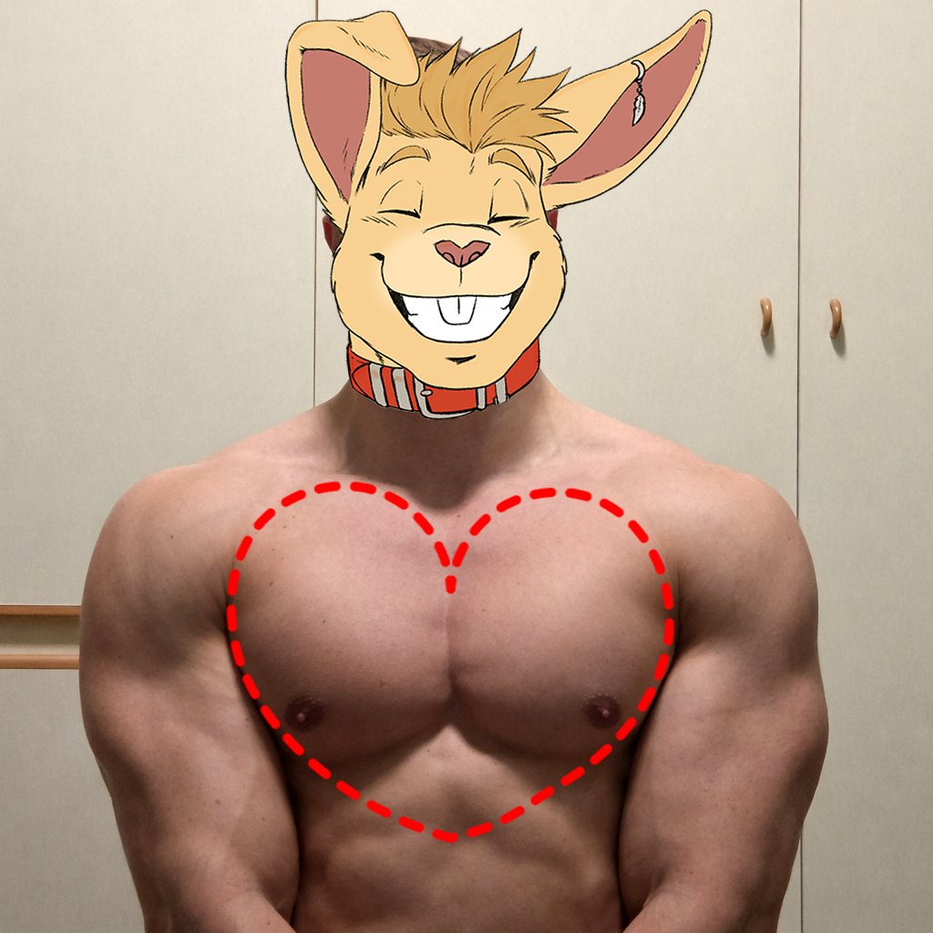 Hans 💛 tweet media