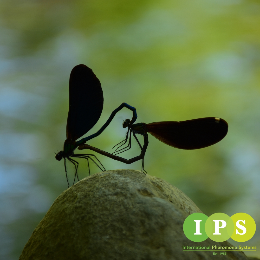 International Pheromone Systems tweet media