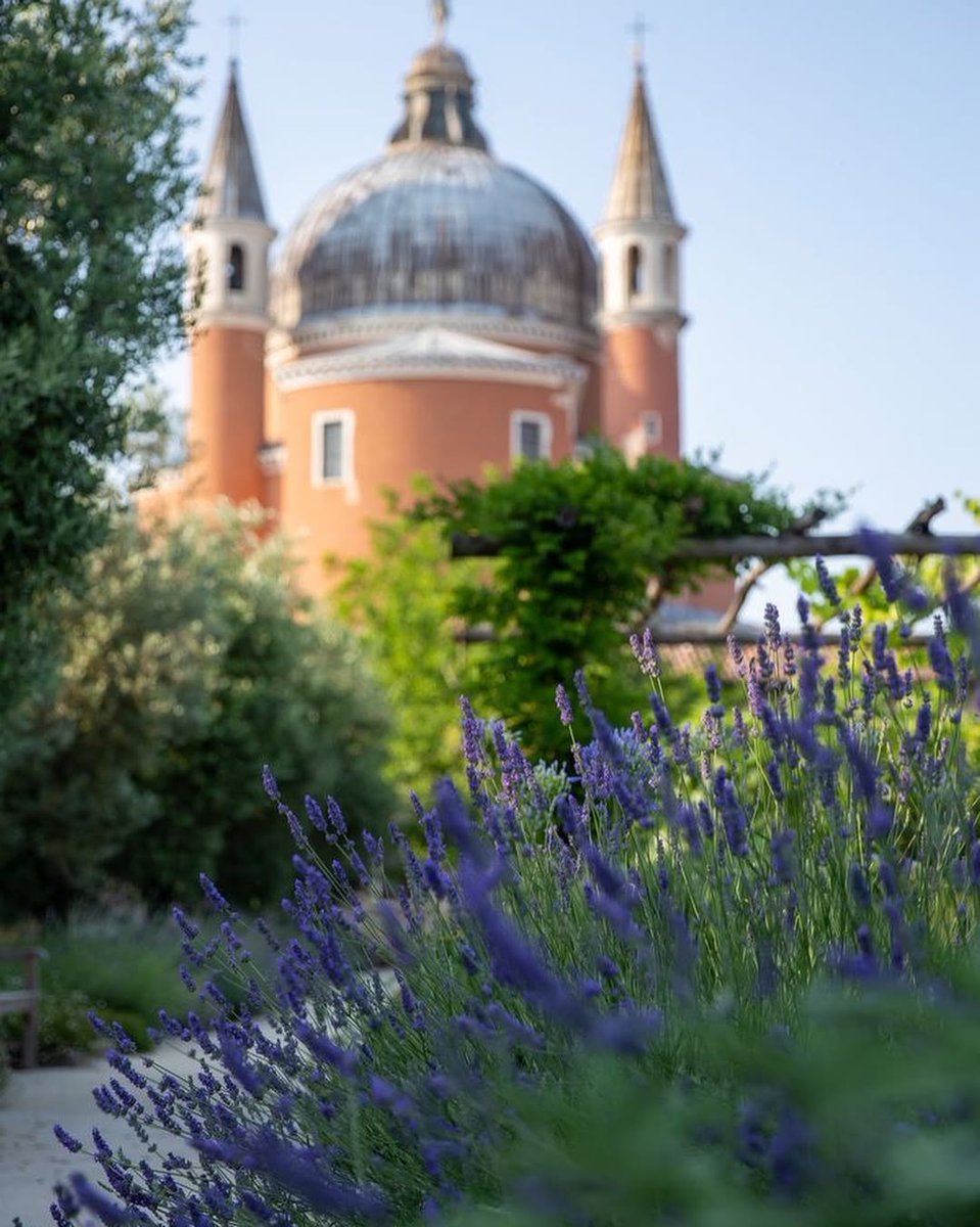 EnjoyRespectVe's tweet image. 🌿Riapre oggi l’Orto Giardino del Redentore!
Un ettaro di paradiso alla #Giudecca: pergolati di viti, rose e glicini, la Vasca delle ninfee, sentieri tra erbe aromatiche, ulivi e frutteti. C'è anche un caffè con tavolini vista #Laguna! #EnjoyRespectVenezia venicegardensfoundation.org/it/hortus-rede…
