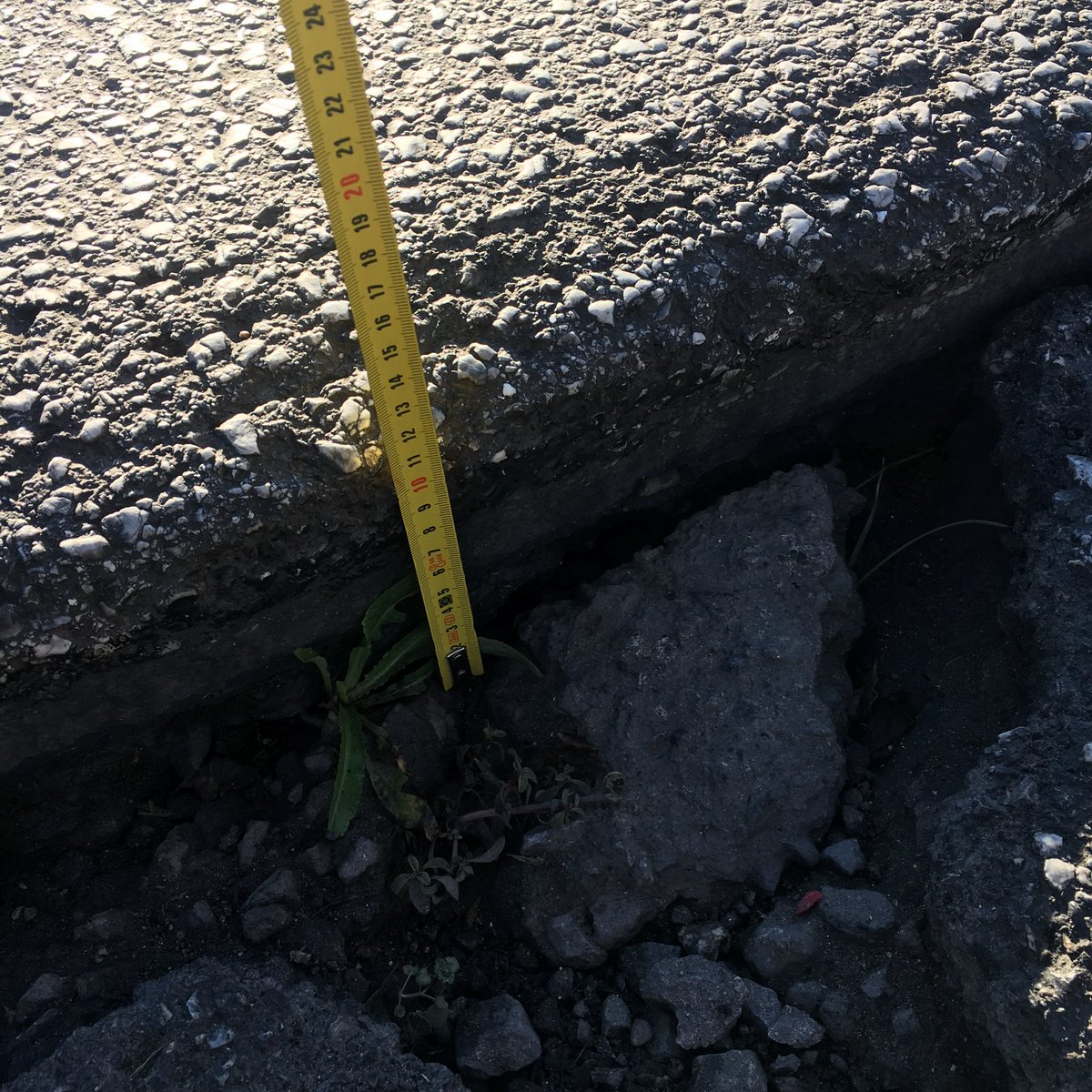 Dannyh :D tweet media