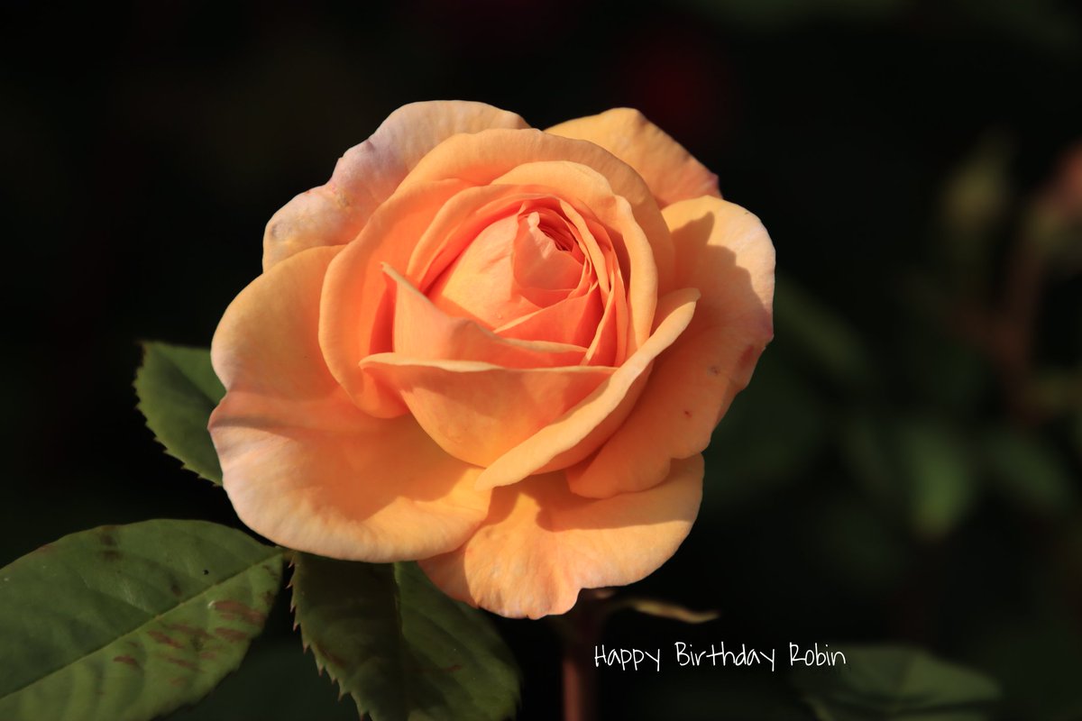 Armin Zimmermann tweet media