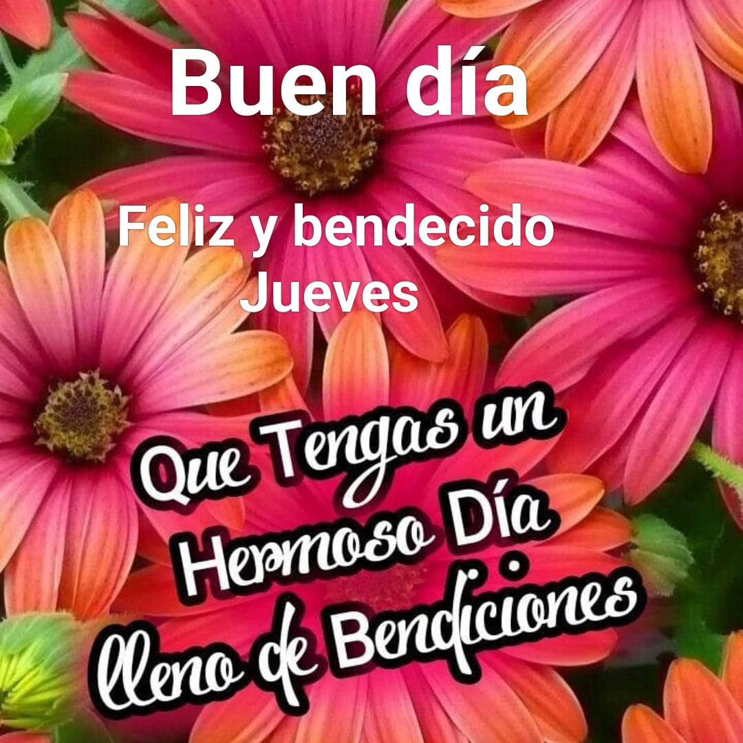 Buenos días un gran saludo a todos y que Dios nos bendiga siempre 🌷