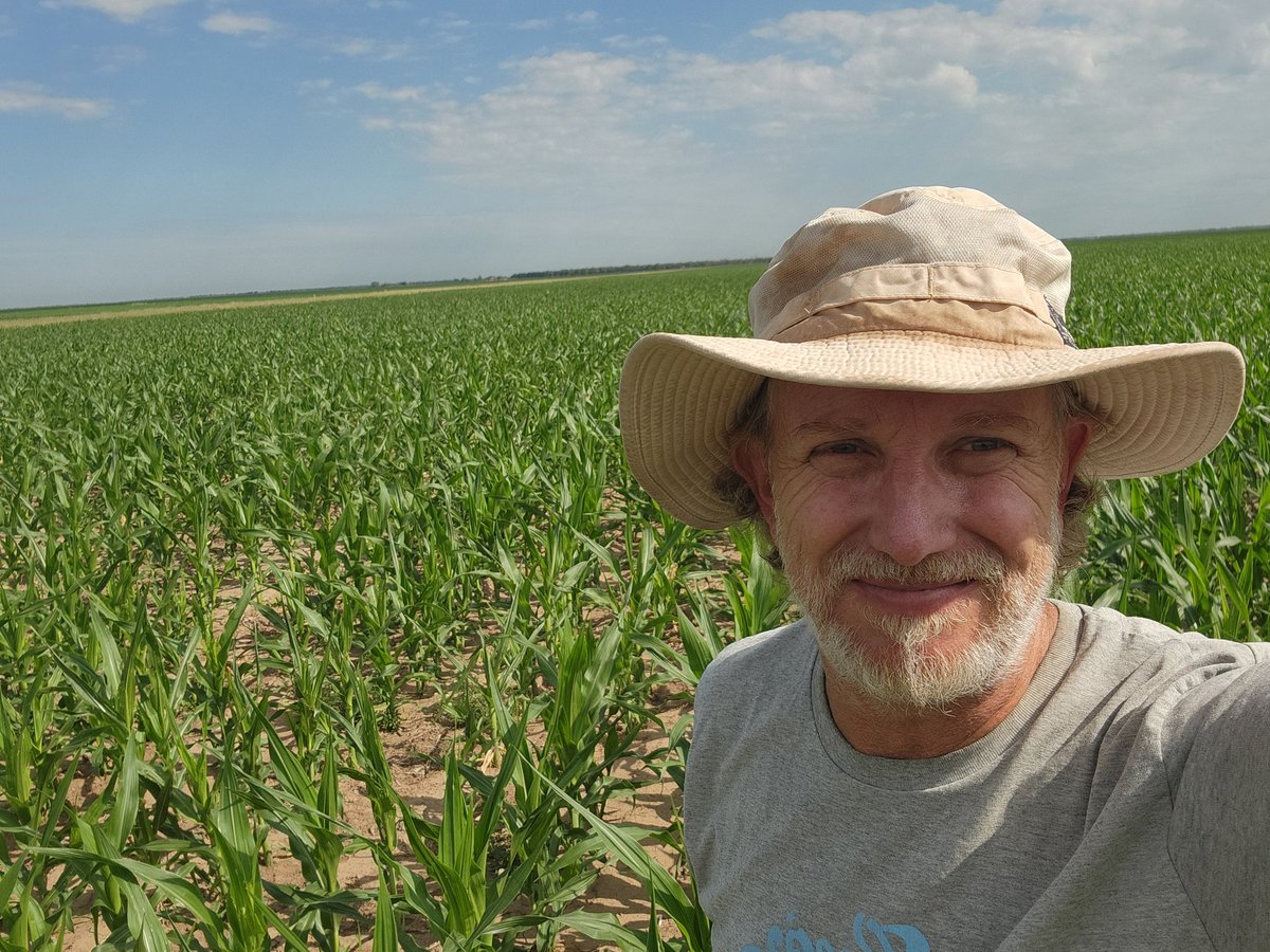 De recorrida por los lotes, viene todo lindo por ahora 🤞