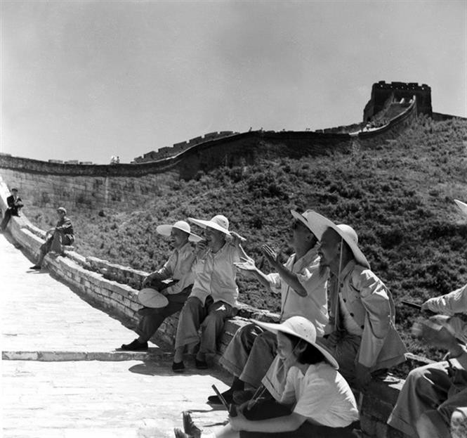 一蓮托生 tweet media