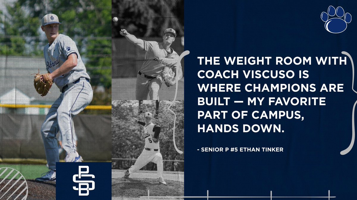 Behrend Baseball tweet media