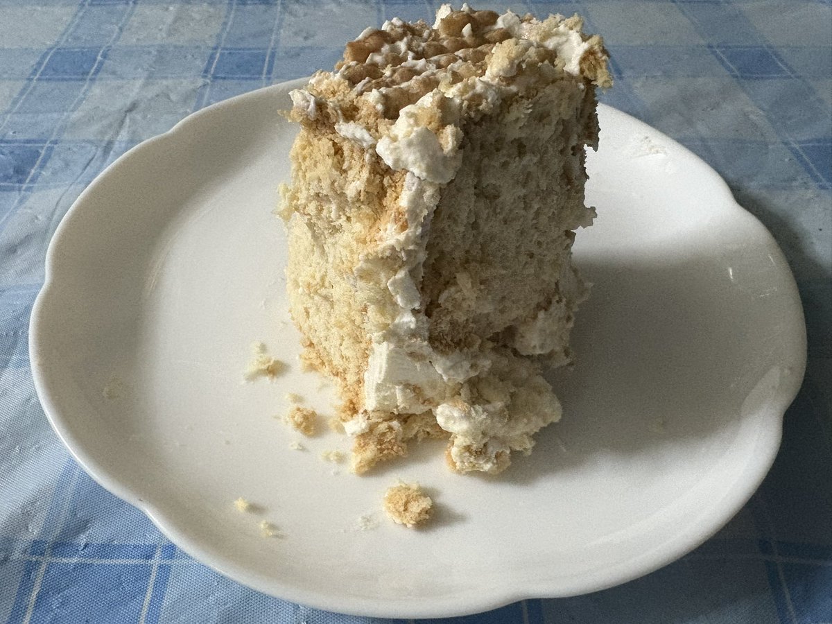 ヨーグルト(パルテノ)×ココナッツサブレ

虚無チーズケーキ？
やけくそチーズケーキ？笑