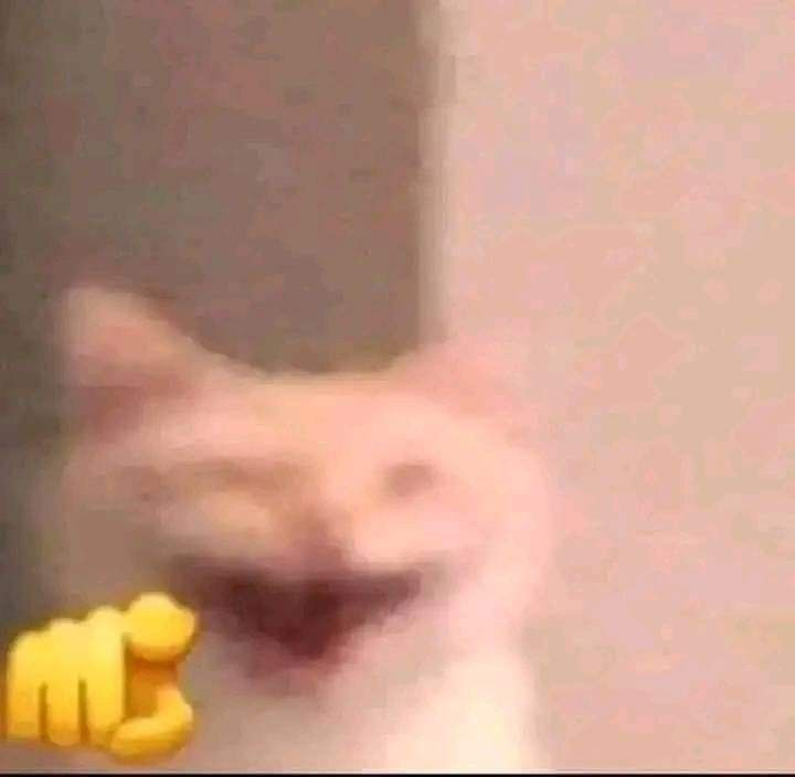 Céleste🌸 tweet media