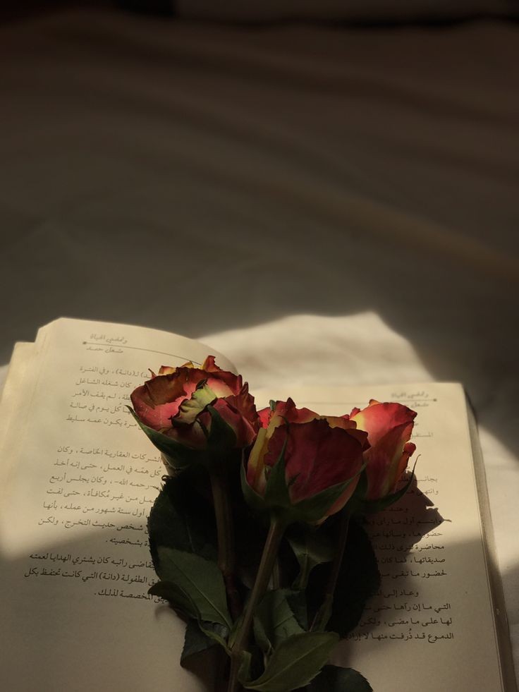 Ruhumun karamsarlığından, Allah'a sığınırım.