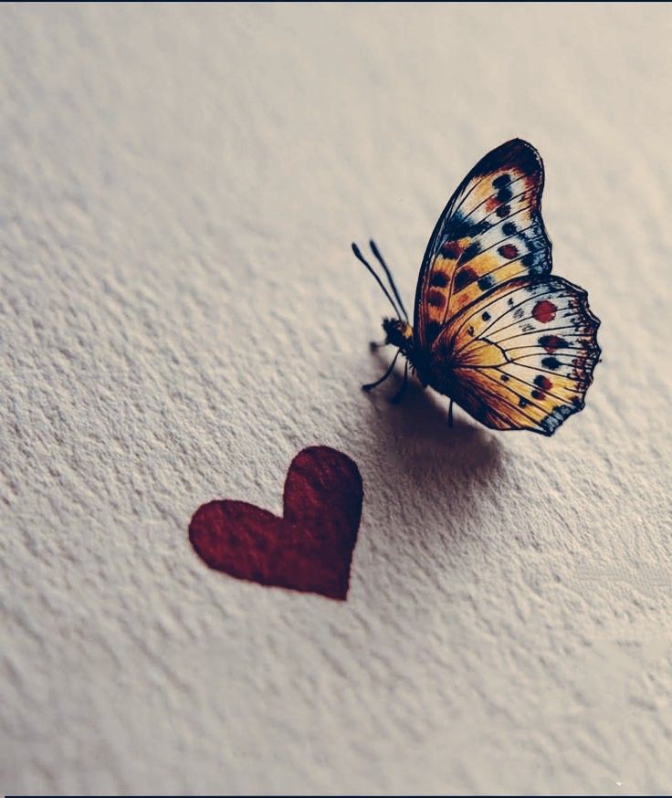 KaiOfApril's tweet photo. "Y grabé en mi retina cada una de las sonrisas,miradas y momentos que merecían la pena,mientras trataba de sentir, una vez más, cada uno de los abrazos.

Yo nunca fui de despedidas,pero un día tuve que mirar al cielo y aprender a echar de menos"

Un rincon maravilloso
@mynewme__ https://t.co/AphaisB33k