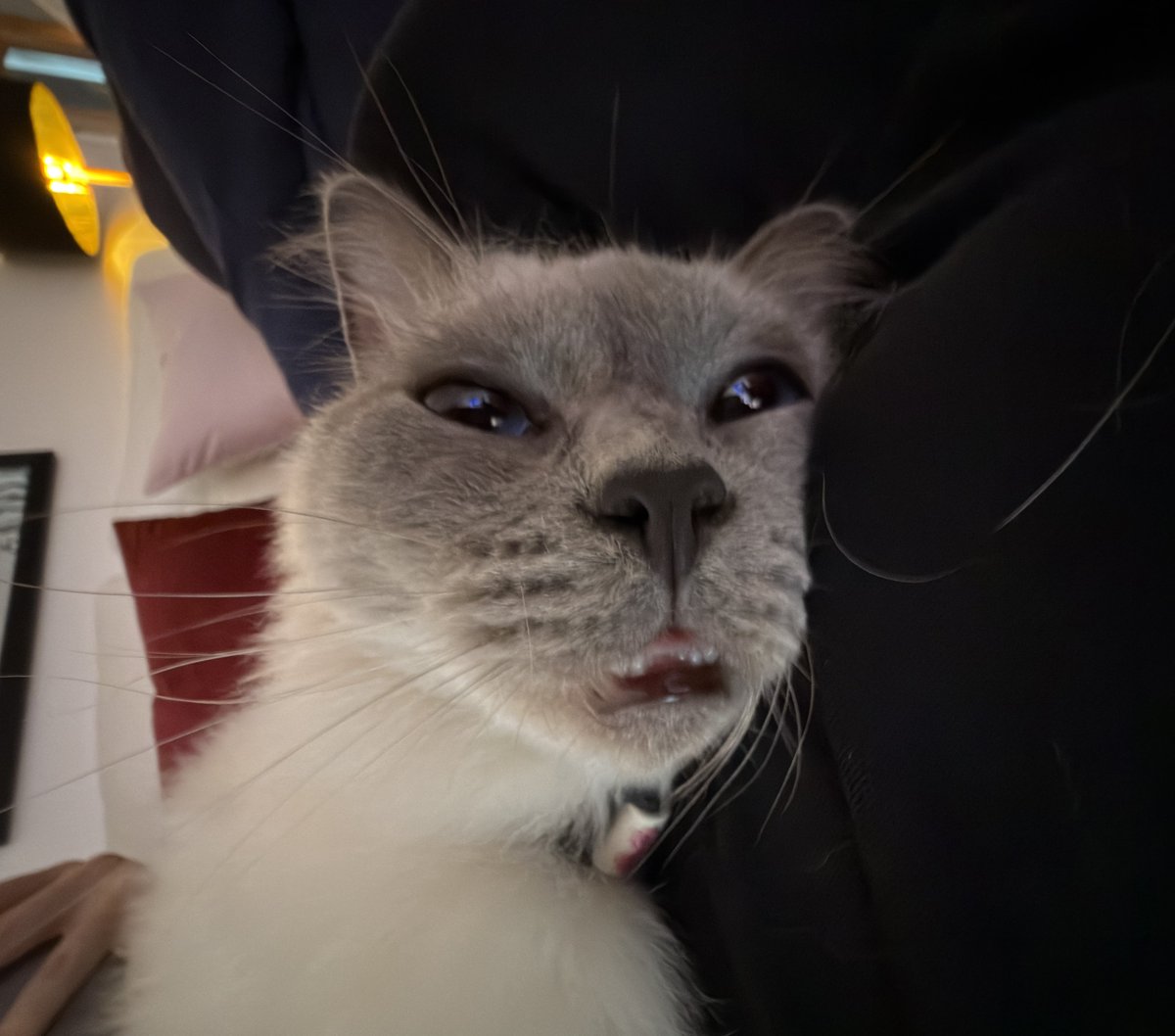 F1NN5TER tweet media