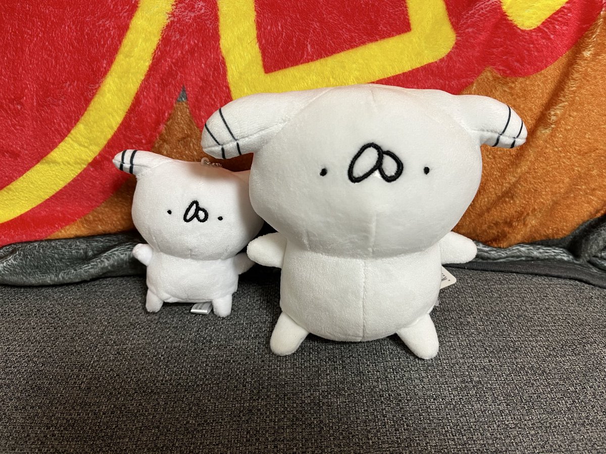 p3x_o's tweet photo. 今日無事に届いた…！
思ってたより小ぶりでかわいい(*´꒳`*)
大事に愛でますありがとう国王さま…！

#うさぎ帝国 https://t.co/fnGnYV6Jod