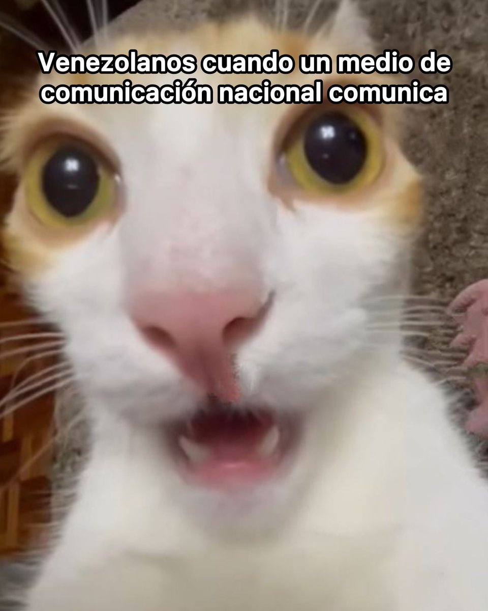 No superamos lo de Venevisión