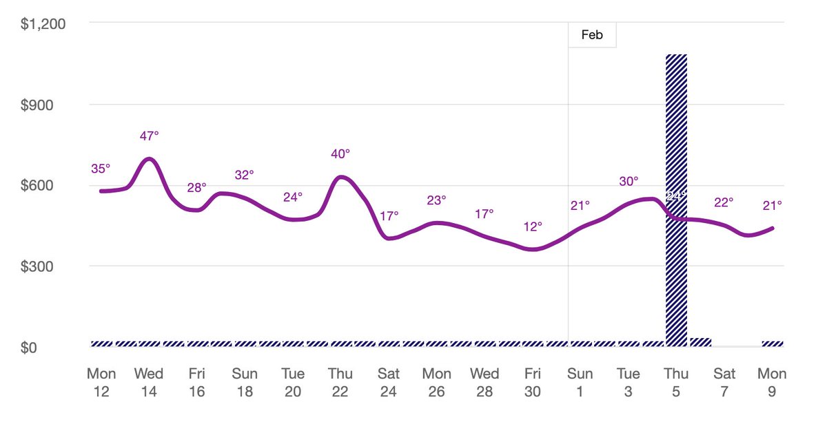Steve Ⓥ tweet media