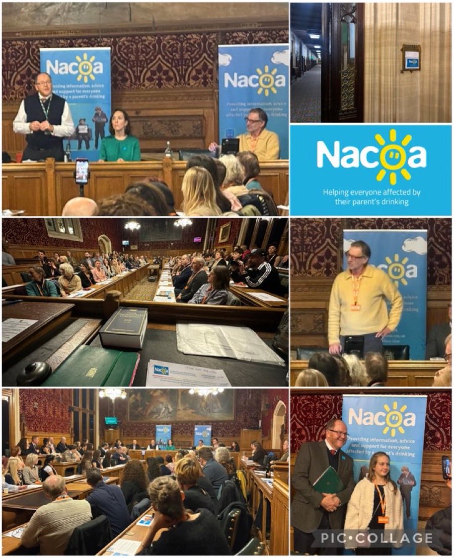 CatherinePrest's tweet photo. Privileged to have attended the Stafford Ward Memorial Lecture in the House of Commons superbly chaired by Camilla Tominey. Nacoa provides information, support and advice for anyone affected by a parent’s drinking. ⁦@NacoaUK⁩ ⁦@CamillaTominey⁩ #COA https://t.co/mJ11csos6N