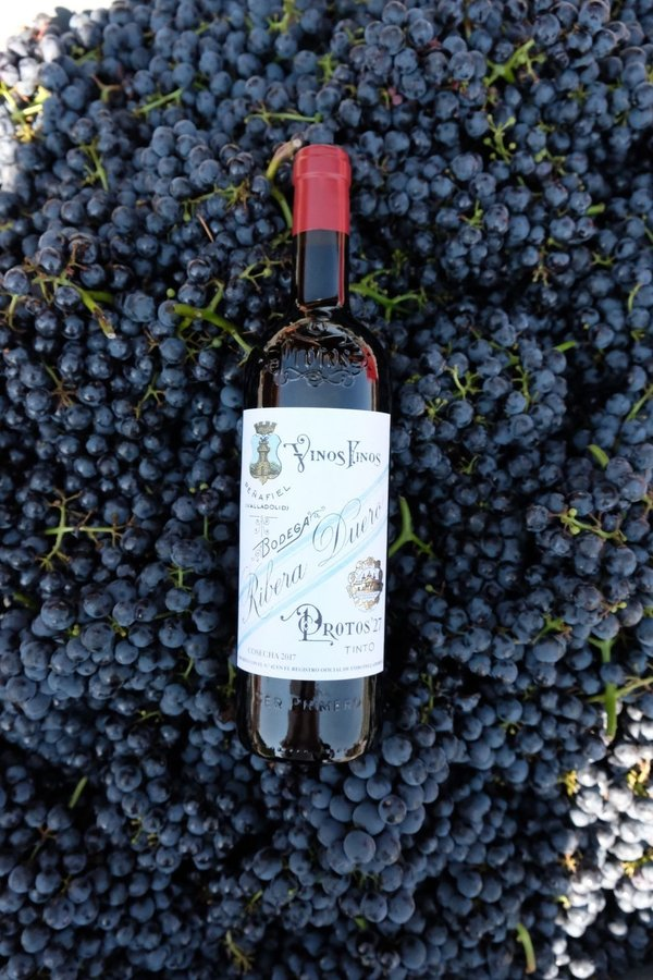 Bodegas_Protos's tweet photo. En marzo de 1927, 11 viticultores cumplieron su sueño al fundar Protos, "La Primera en la Ribera". Aquel sueño sigue hoy más vivo que nunca con Protos '27 🍷🍇
#riberadelduero #protos #protoswine #wine #vinostintos #winelover #protos27 https://t.co/LmU99PNKgj