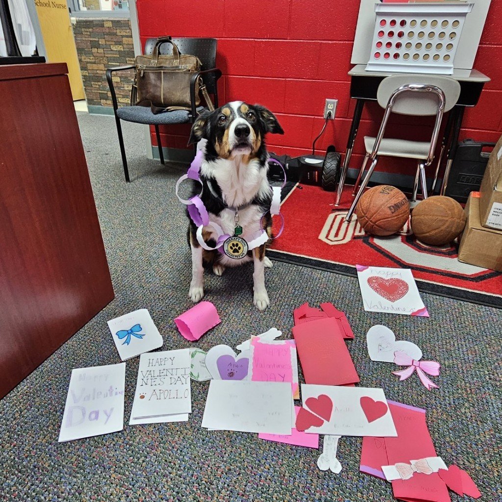 More Positive Behavior Referrals plus Apollo was showered with Valentine's by HS mentors and 4th/5th mentees!

#BeABlackKnight