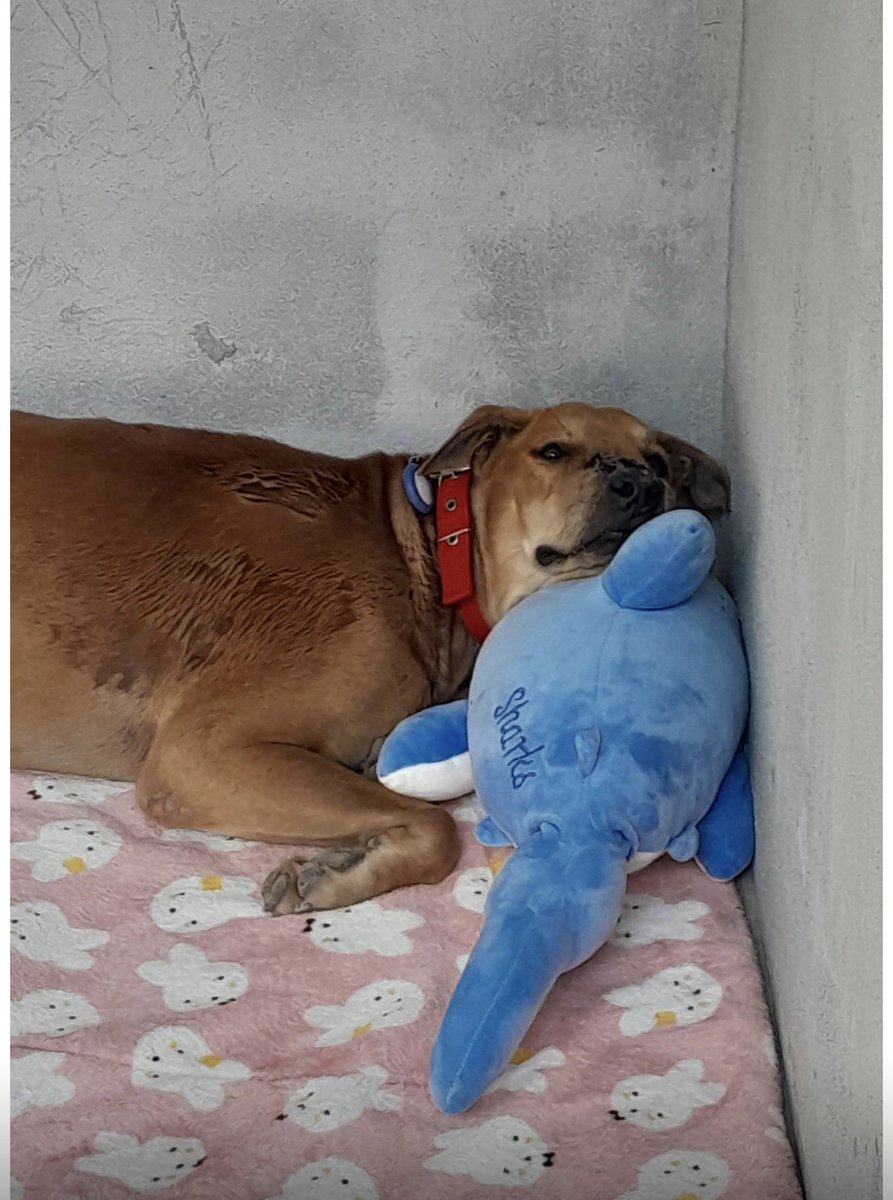 Niall Harbison tweet media