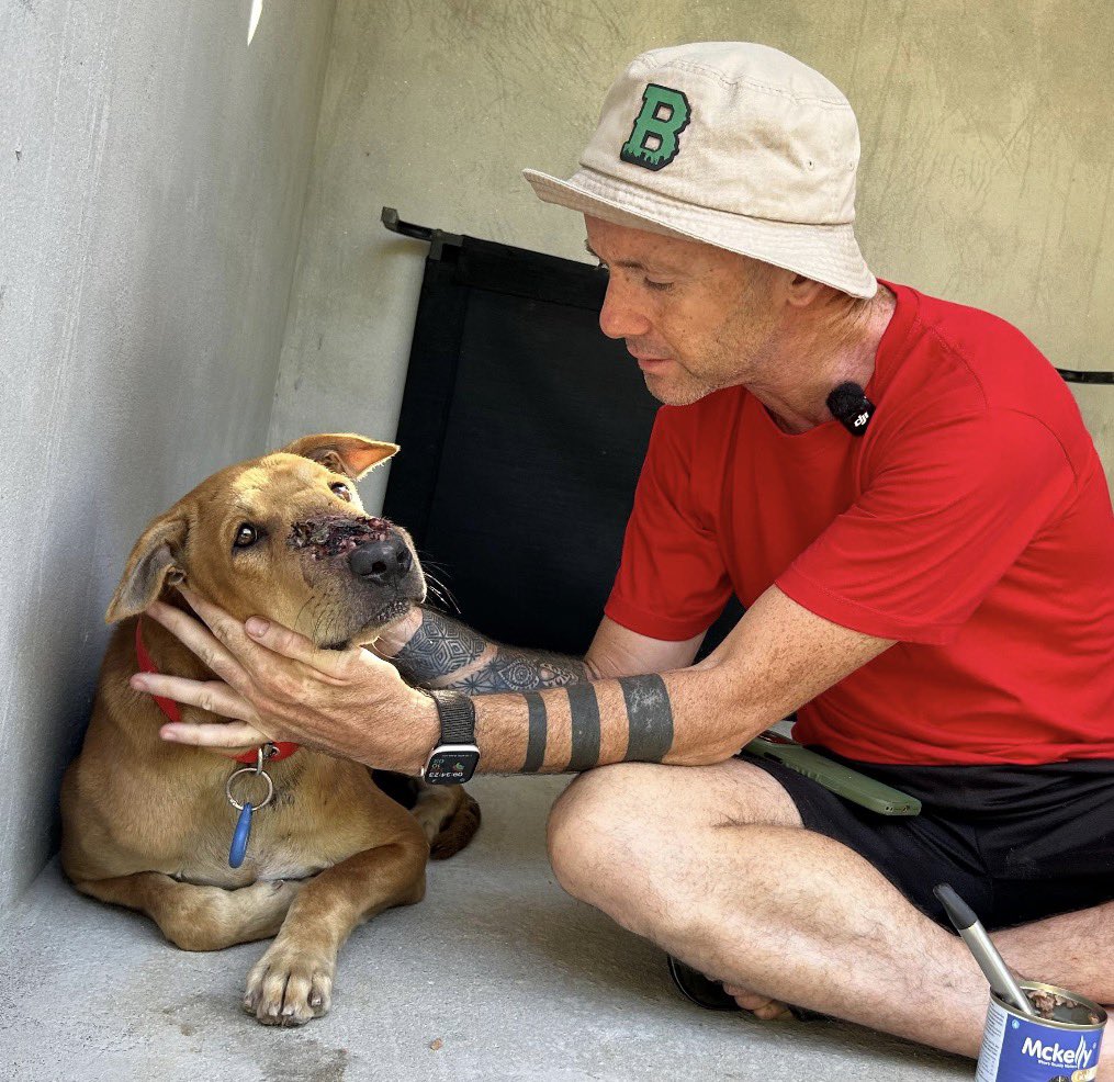 Niall Harbison tweet media