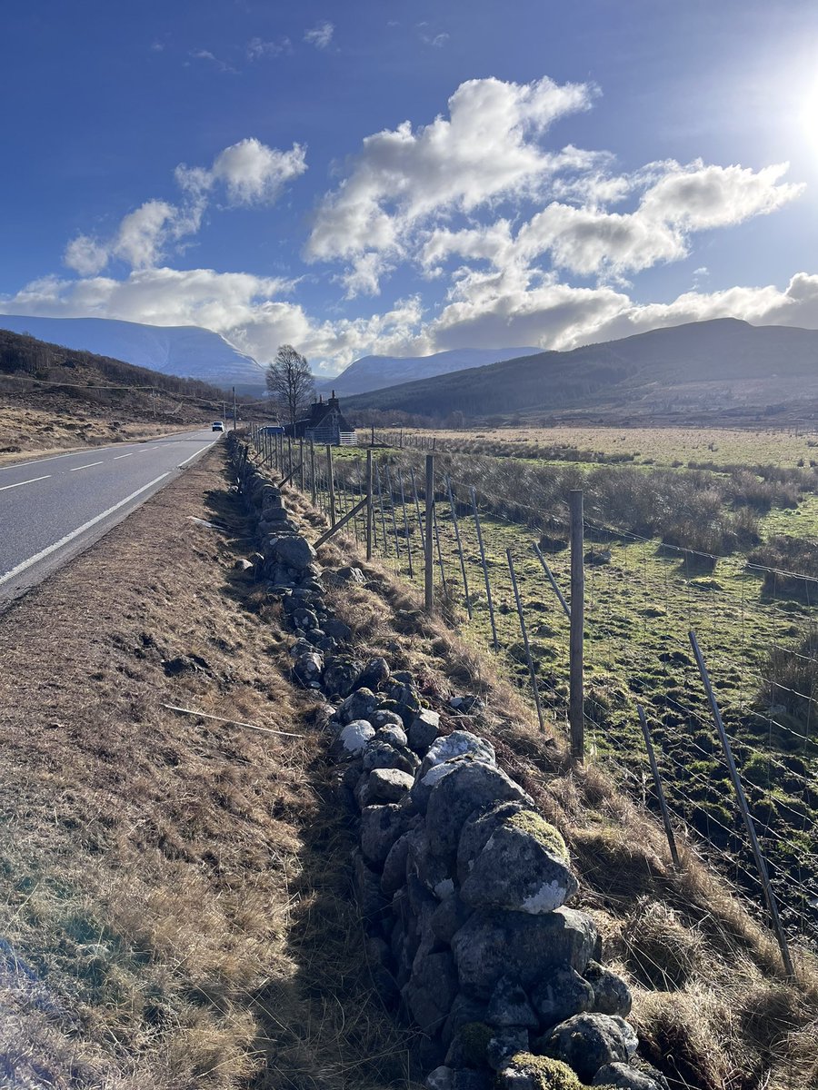 A View On Scotland tweet media