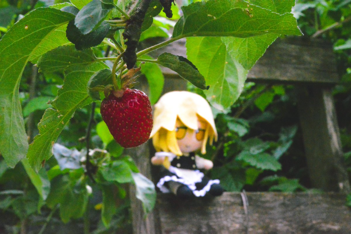 IvanFumograph tweet media