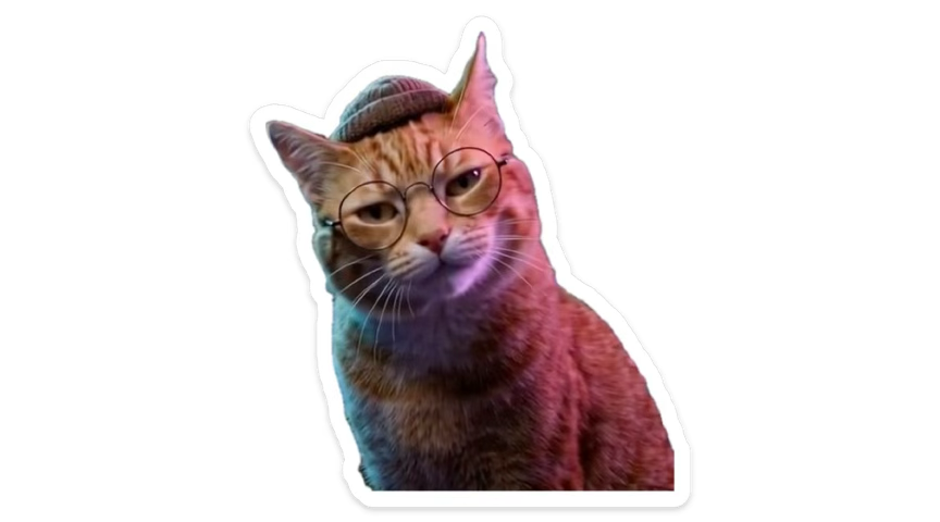 Osoluche Galicia tweet media