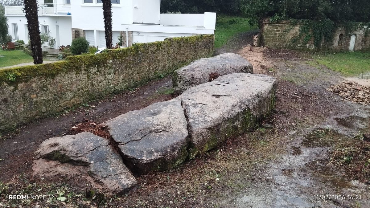 Sterenn 𝍎𝌆🇲🇦🇸🇳〓〓 tweet media