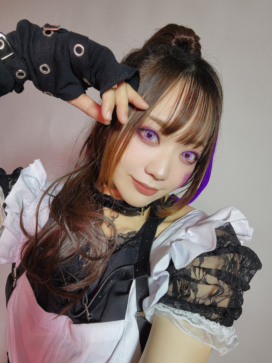 Alfie (アルフィ) #蓮燦 #SaisNest #あーちゃんまる