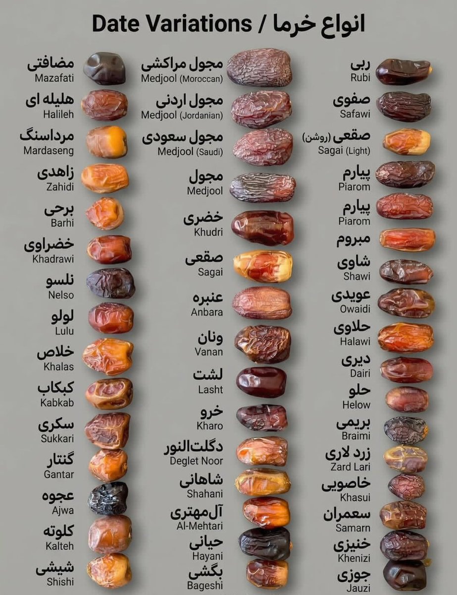 حَقیر الاَطِبّاء tweet media