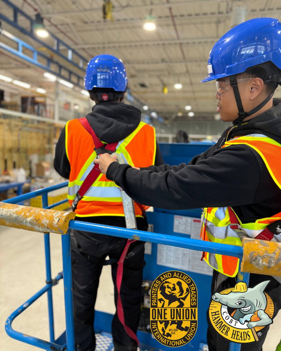 Hammer Heads tweet media