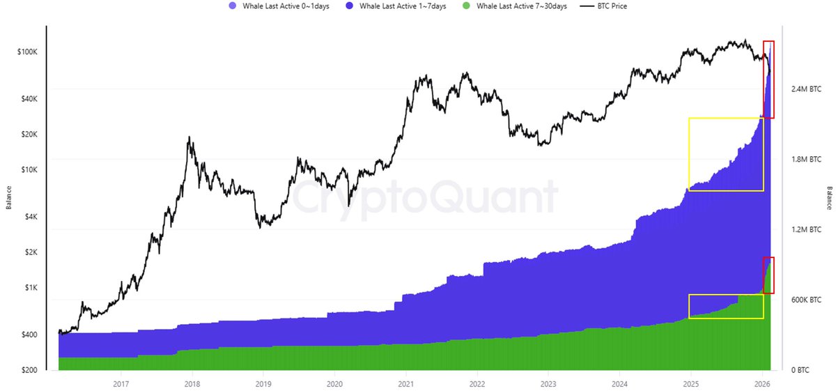 CW8900's tweet image. The amount of $BTC accumulated by new whales in January and February is comparable to the total accumulated in 2025.

Their strong accumulation indicates they are preparing for a bull market, not a bear market.