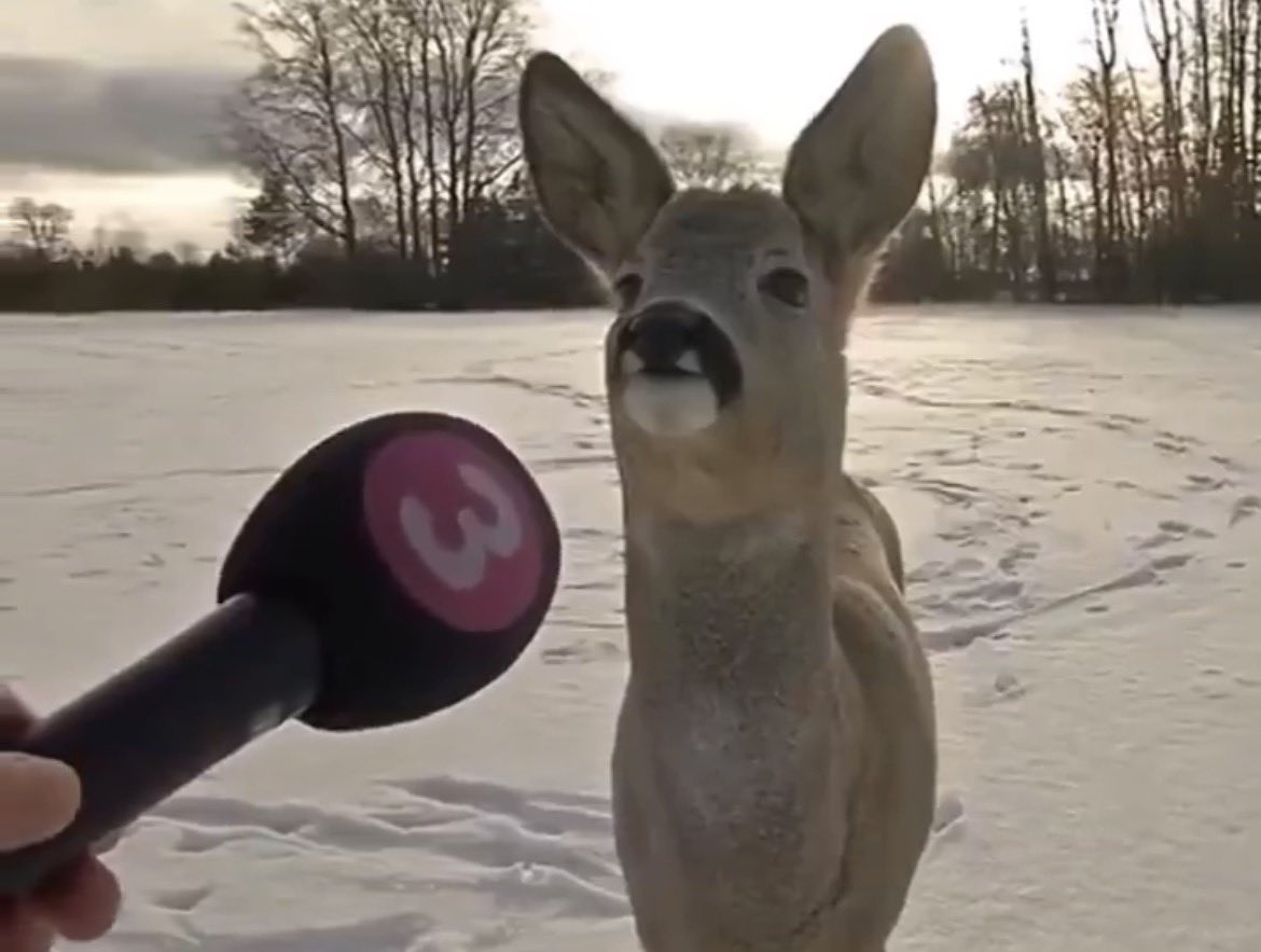 is lie. liar told you that. i said 50