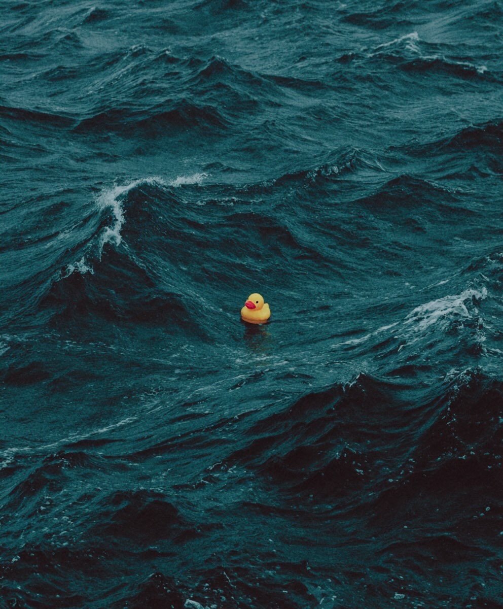 I think it can run? 👀

Plastic $Duck

AW3DCa4kTF5Z7LSs2SpKchUbUYm4tuJhV42JNTgApump